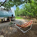 하방소 포레스트 이미지