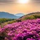 합천관광휴게소