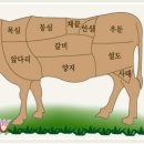 소고기 부위별 명칭 -중국어- 이미지