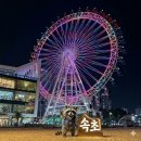 탑골마을 | 속초아이 속초탑골막국수 추필여국시 속초설악딸기...맛집 추천 속초여행 가볼 만한 곳 뷰 맛집 추천 후기