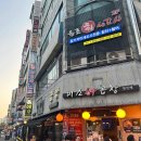 원조회세꼬시