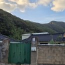 철이네 촌캉스 이미지