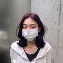 코지크 네이버블로그