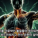 121. 몸속 '하수구'가 막히면 병이 생깁니다! 부종과 셀룰라이트 없애는 림프 해독 이미지