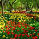 노량진근린공원 관리사무소 이미지