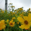 영남상회 이미지