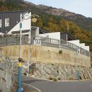 그리드1398 이미지