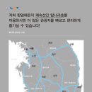 탐나라 이미지