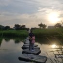 가장맛있는족발(태화점) 이미지