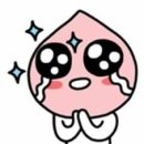 카페루아흐 - 의정부시 용민로122번길 36 | 카페루아흐