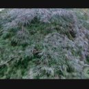 상근농장 이미지