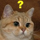 RR-34[삼동로]-하-7 | [게임 일기] BIOHAZARD RE:3 - 좀비 죽이는 게임 후기