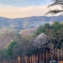 춘천숲자연휴양림 이미지