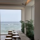 오핑 - 포항시 남구 구만길 279 | [강릉 영진해변 카페] 자리가 편한 오션뷰 카페 “오핑하우스” | 오션뷰 솔직후기