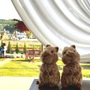 [용인카페] 처인구 카페싱싱_과일 수플레&amp;꽃에이드_정원이 이쁜 카페