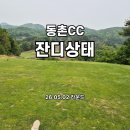 미미 | ⛳충주 동촌CC 라운드 후기