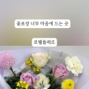 로웰플레르 이미지