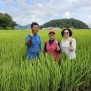 진설초해(주) 이미지