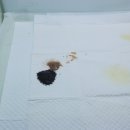 늘사랑 양한방 동물병원 이미지