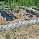 상상농장 이미지