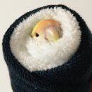 추억묻은또래야 이미지