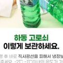 고로쇠물 효능 6가지 부작용 건강한 섭취 방법 이미지