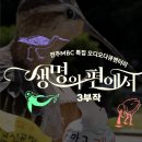 전주MBC 특집 오디오 다큐멘터리 가 전주MBC 라디오 (94.3mHz)와 유튜브를 통해 공개됩니다-! 이미지
