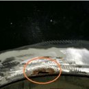 산본카센타 이미지