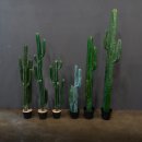 &#39;용신목&#39; 고품질 인조 선인장 도매 유통 , feat.물건배달용 그랜드카니발 줍줍, 대전나그네 낭만무역 일기