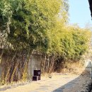 용당길 | 충남 공주 카페 로컬커피 분위기 좋은 한옥카페 밤디저트 맛집 주말 웨이팅 솔직 후기