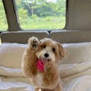 호수공원 제4화장실(매점) 이미지