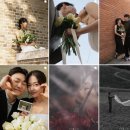 야외 스냅 계약 후기 (광주 / 제주 스냅업체 비교, 광고x)