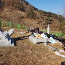 시제 이미지