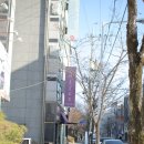 카페 로마노 | 전주 서곡카페 에스프레소바 추천, 로마노 커피가 인상적이었던 옴브라 후기