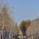 연세대학교 대학원 | 사서 교육대학원: 연세대학교 면접 후기(최초합)