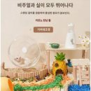 보보조경 이미지