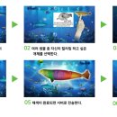 (주)미디어캔버스 이미지