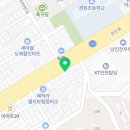 펫앤펫 인천점 강아지분양의 모든것 이미지