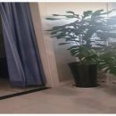 소문난안마원 이미지