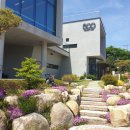 울산 근교 경주 양남 마우나리조트 근처 500베이커리엔카페 (마운틴뷰 베이커리 종류 다양한 맛집 카페)