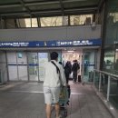 싱가폴 스탑오버 반나절 여행 / 싱가폴 항공 / 뉴튼호커센터 31번 먹고죽자 칠리크랩 / 파이브가이즈...