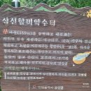 해안야생화체험장 | [대이작도 여행] 걷기만 해도 힐링! 뚜벅이 당일치기 섬여행 코스