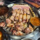 카카오 이미지