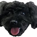 일청로 91번길 이미지