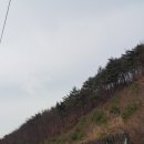 도래재로 이미지