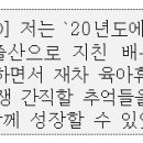 롯데엠시시(주) 이미지