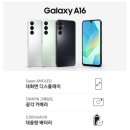 A165 이미지