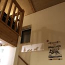 Dog.(독점) 이미지