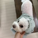 여우애김밥 안산반달섬점