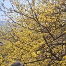 원좌회관 이미지